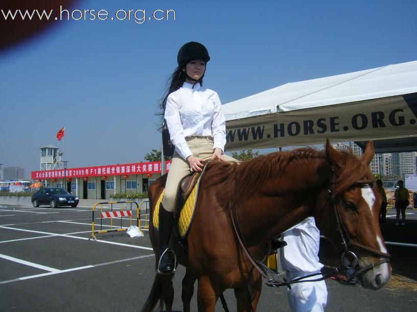 深圳伊玛特马具赞助2009年F1摩托艇世锦赛深圳大奖赛
