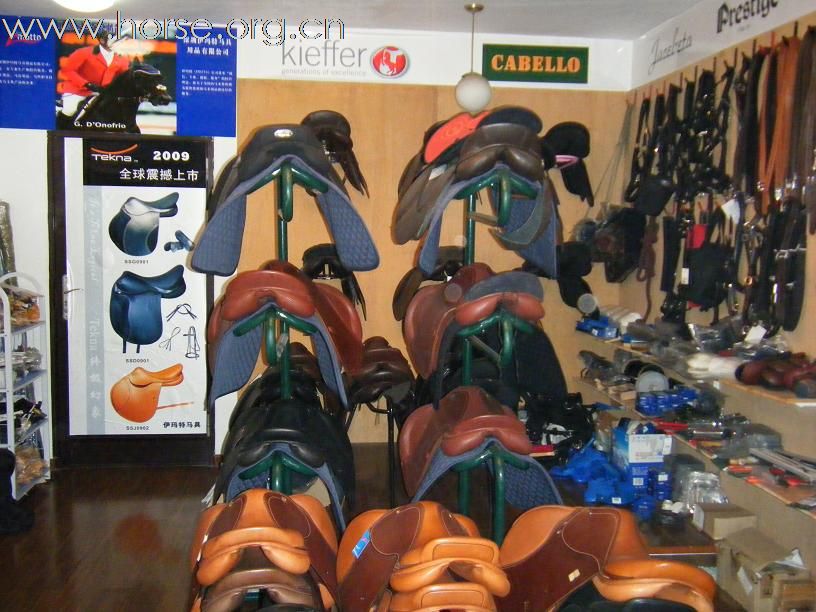 深圳伊玛特马具赞助2009年F1摩托艇世锦赛深圳大奖赛