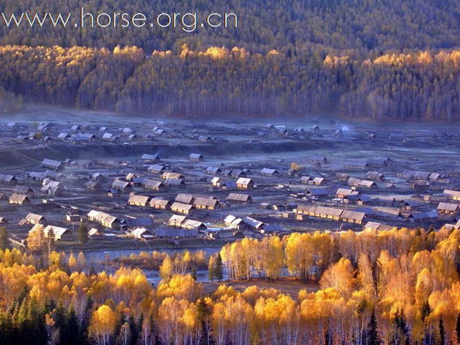 Horseback Exploration in Kanas in Golden Autumn