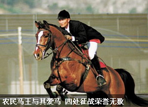 全运马术：如何保护价格不菲的赛马？
