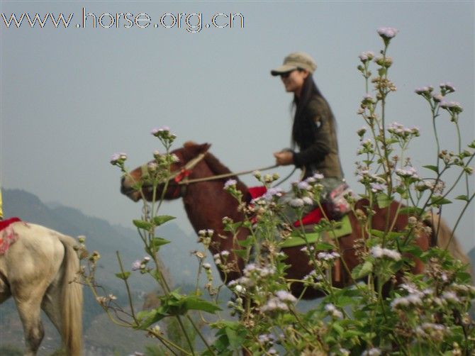 湘西保靖沙坪马场（酉水河边）