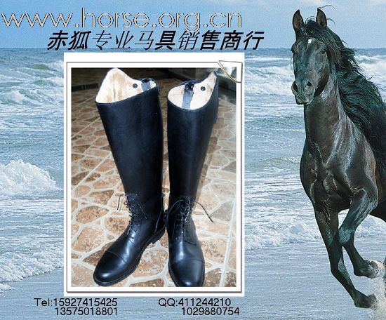 赤狐专业马具销售商行欢迎您（二）