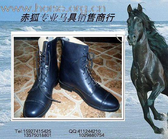 赤狐专业马具销售商行欢迎您（二）