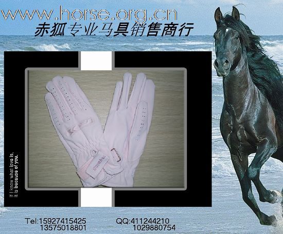 赤狐专业马具销售商行欢迎您（二）