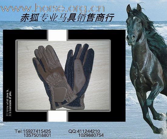 赤狐专业马具销售商行欢迎您（二）