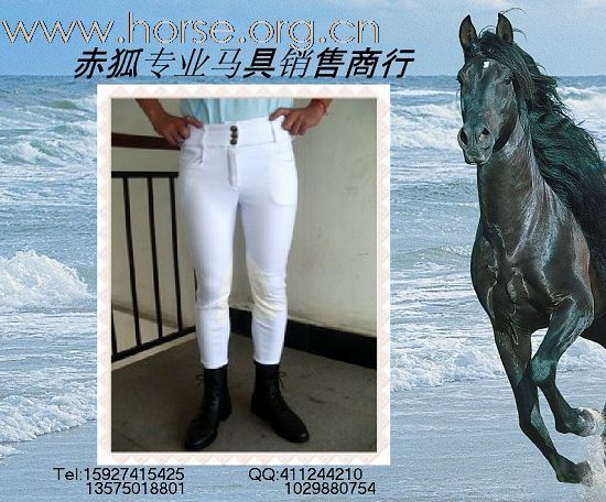 赤狐专业马具销售商行欢迎您（二）