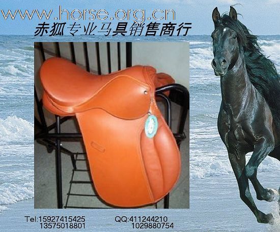 赤狐专业马具销售商行欢迎您（二）