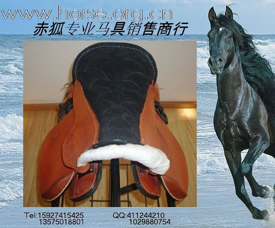 赤狐专业马具销售商行欢迎您（二）