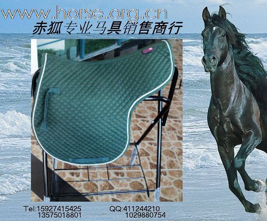 赤狐专业马具销售商行欢迎您（二）