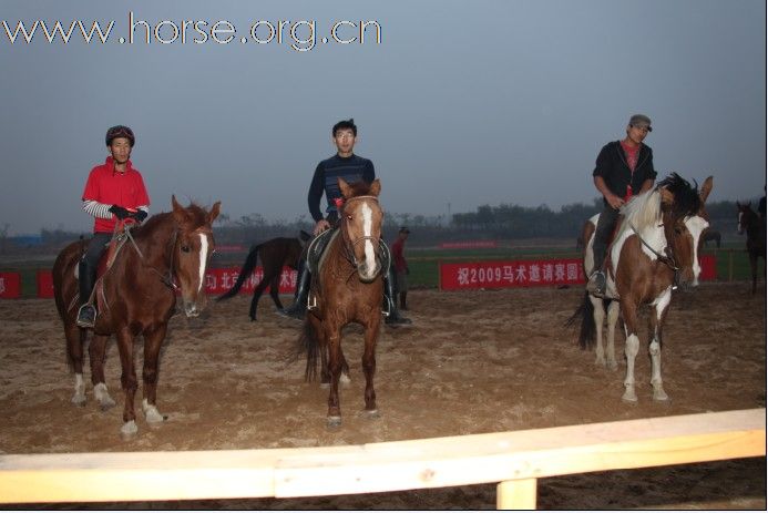 祝贺2009山东马术邀请赛圆满结束！