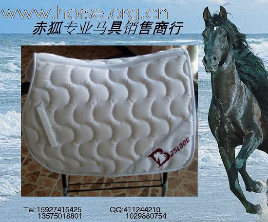 赤狐专业马具销售商行欢迎您（二）