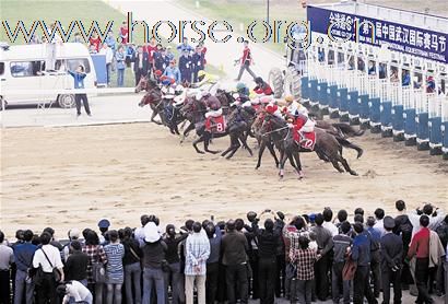 武汉2010年有望每周举行赛马比赛