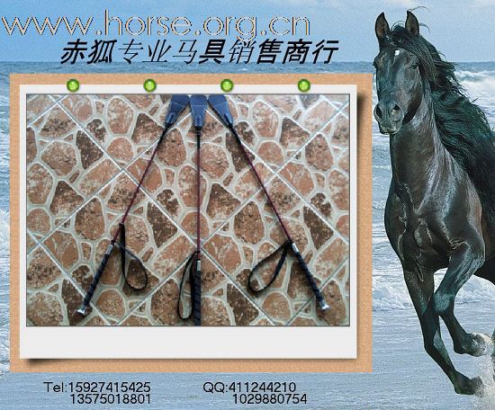 赤狐专业马具销售商行欢迎您（二）