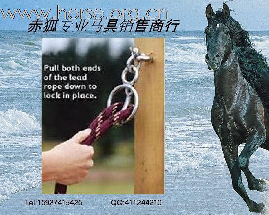 赤狐专业马具销售商行欢迎您（二）