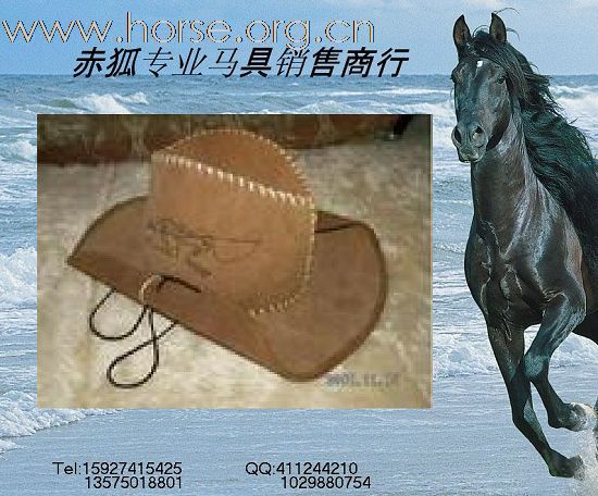 赤狐专业马具销售商行欢迎您（二）