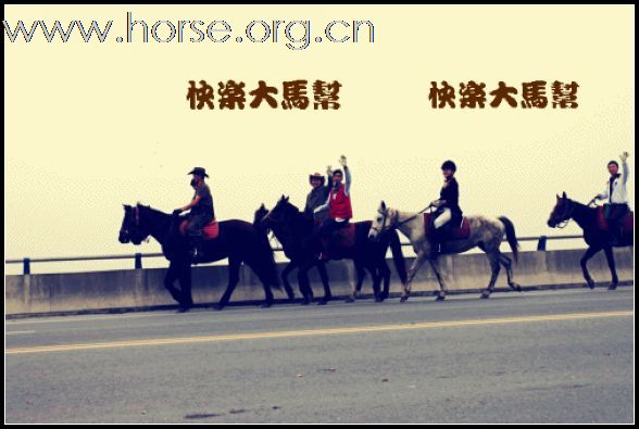 11月8号 马帮游兰博马术俱乐部