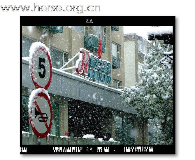 和雪版主之"瑞雪兆丰年":晓光手记"2009北京第一场雪"
