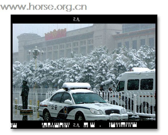 和雪版主之"瑞雪兆丰年":晓光手记"2009北京第一场雪"