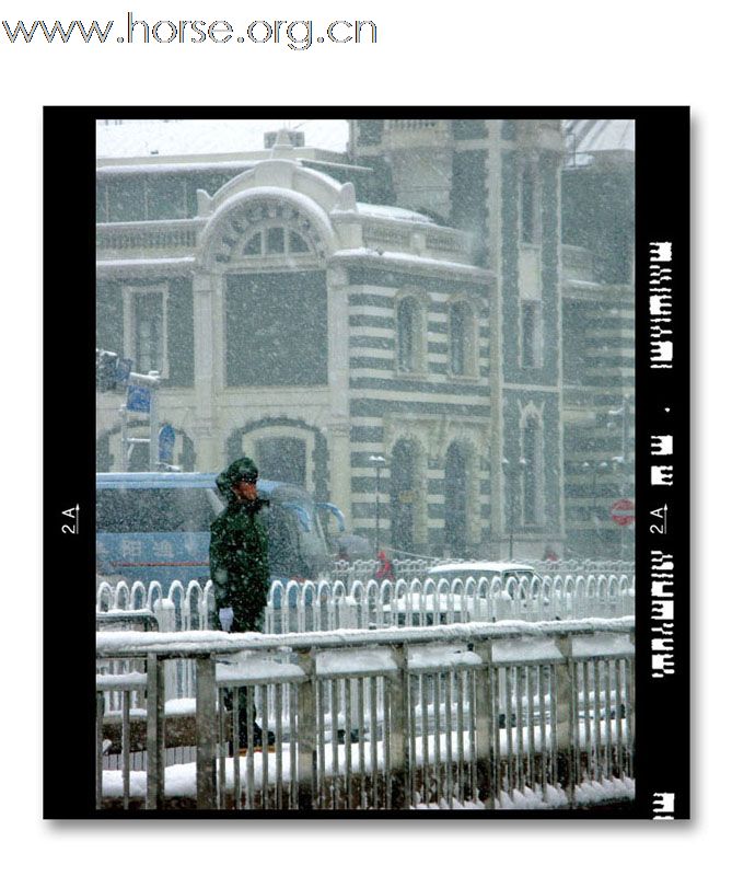 和雪版主之"瑞雪兆丰年":晓光手记"2009北京第一场雪"