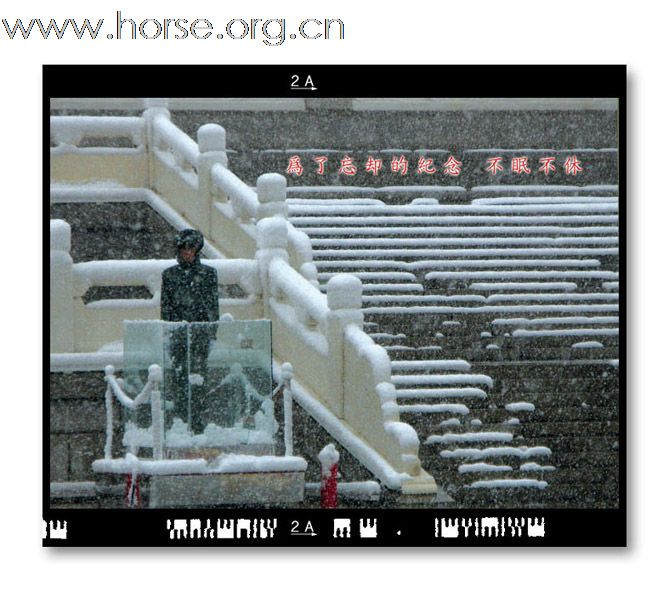 和雪版主之"瑞雪兆丰年":晓光手记"2009北京第一场雪"