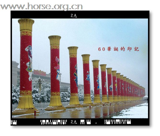 和雪版主之"瑞雪兆丰年":晓光手记"2009北京第一场雪"