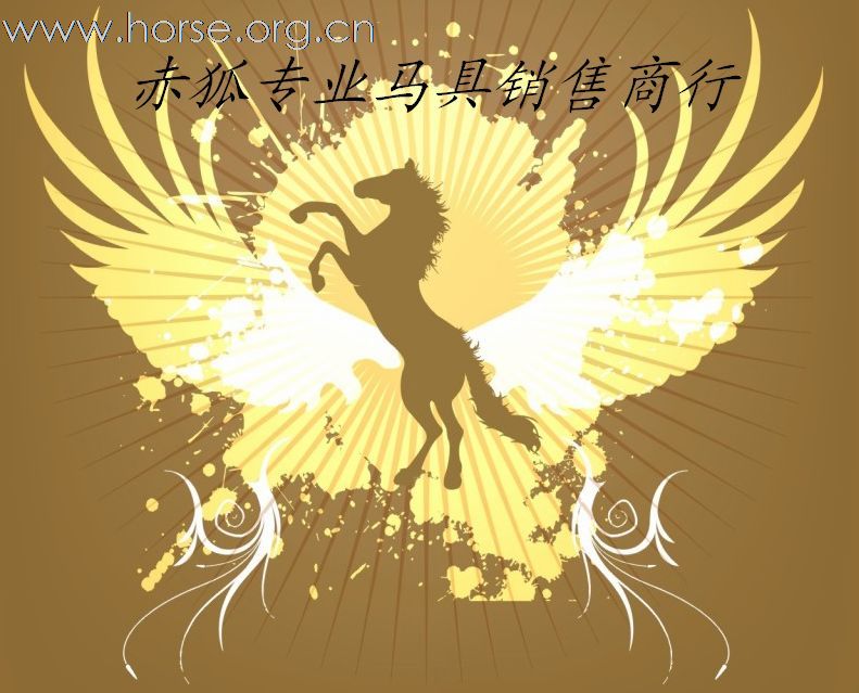 各式骑士护腿 有空看下 哈