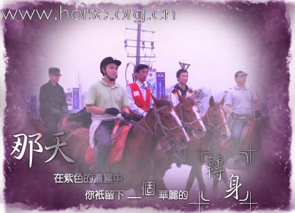 11月8号 马帮游兰博马术俱乐部
