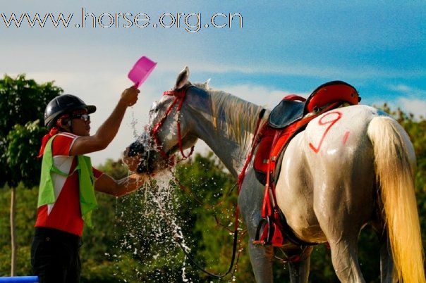 Endurance Program in Thailand 2009.09
