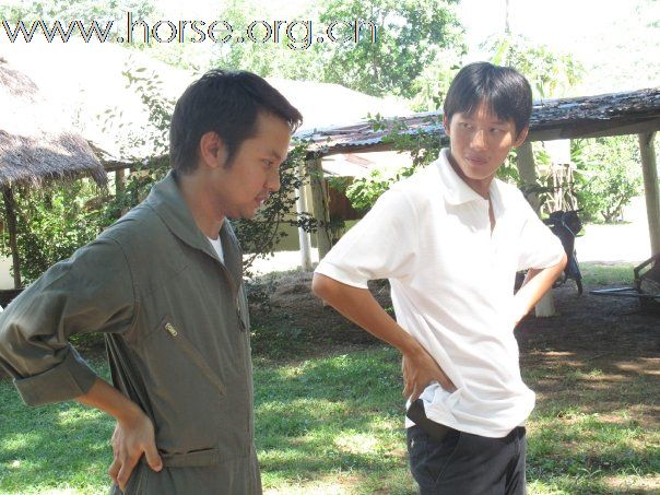 8D3PHAk5.jpg