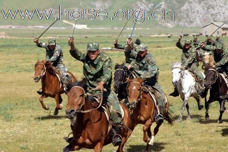 [贴图]永不褪色的军鞍   中国骑兵风采