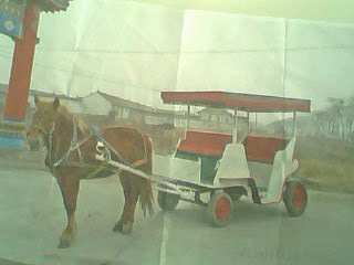 代友买马车