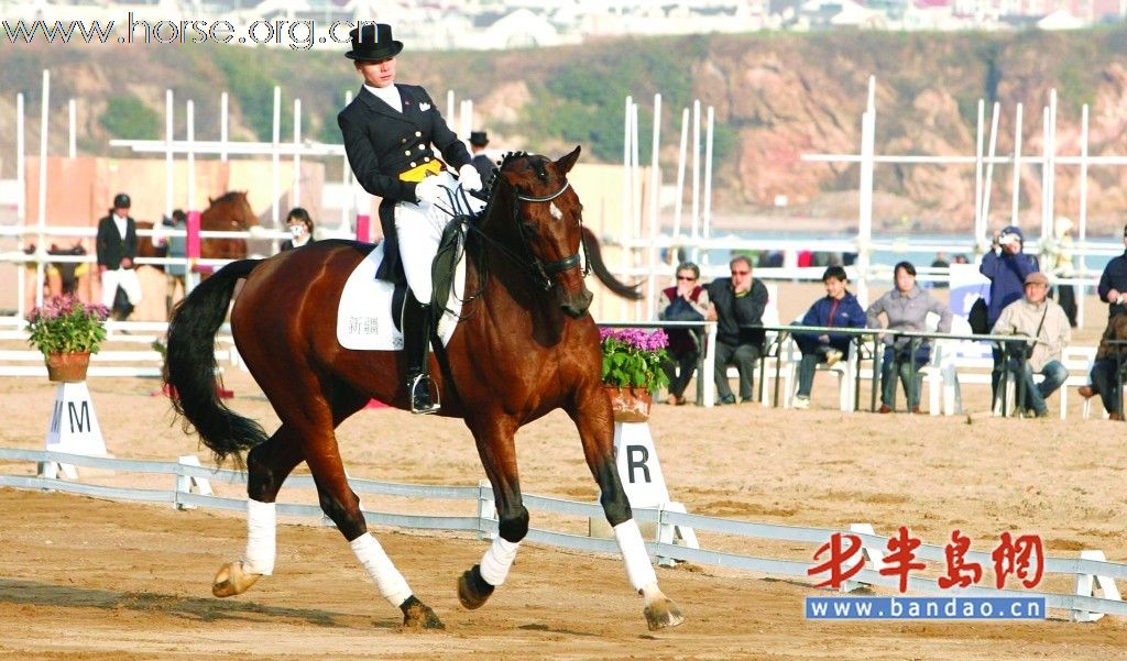 全国盛装舞步比赛 青岛崂山“踏浪起舞”