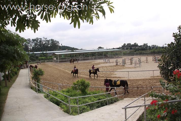 深圳光明骑士会骑马的一天