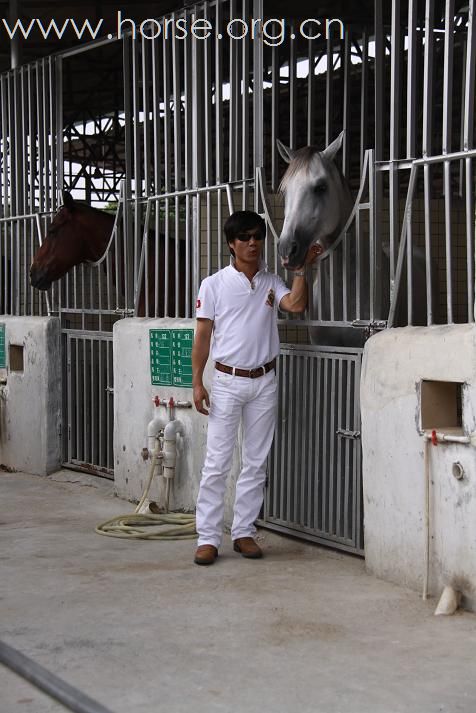 深圳光明骑士会骑马的一天