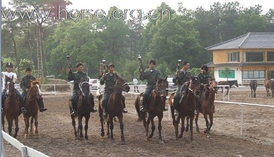 浙江永康黑马骑士庄园俱乐部人气最旺的马场