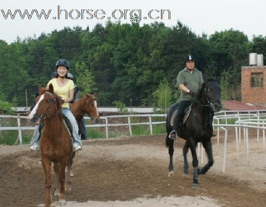 浙江永康黑马骑士庄园俱乐部人气最旺的马场