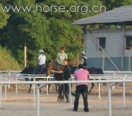 浙江永康黑马骑士庄园俱乐部人气最旺的马场