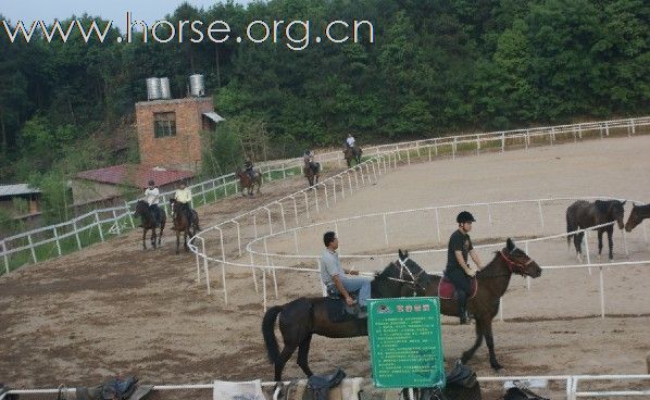 浙江永康黑马骑士庄园俱乐部人气最旺的马场