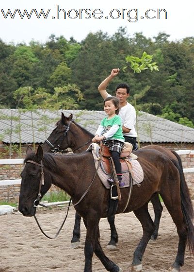 浙江永康黑马骑士庄园俱乐部人气最旺的马场