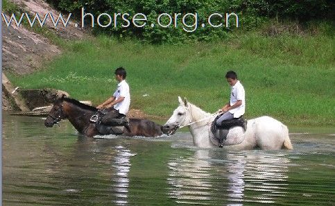 浙江永康黑马骑士庄园俱乐部人气最旺的马场