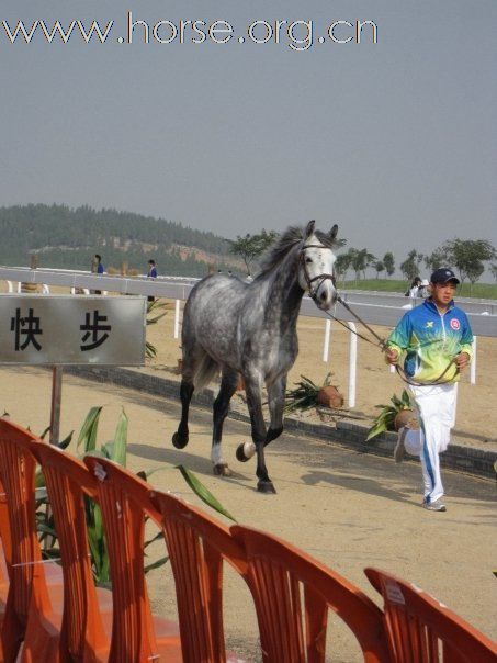 第十一屆山東全運會 香港隊的風采