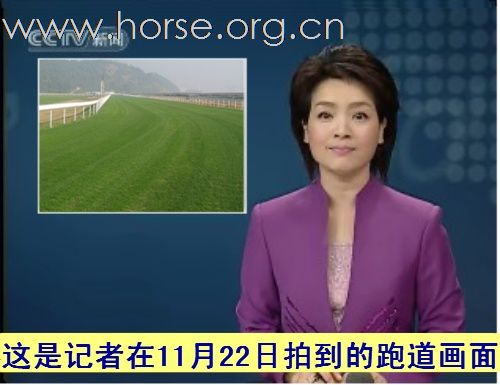 浙江“九龙山赛马会”——梦想的实现