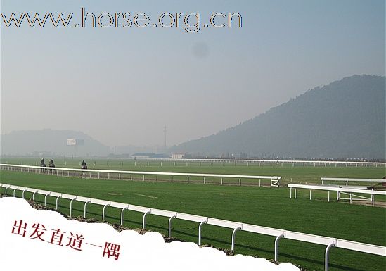 浙江“九龙山赛马会”——梦想的实现