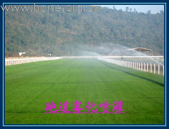 浙江“九龙山赛马会”——梦想的实现