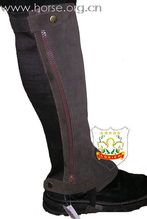 圣聪马具 【每日一品】抛售护腿 不计成本 售完为止