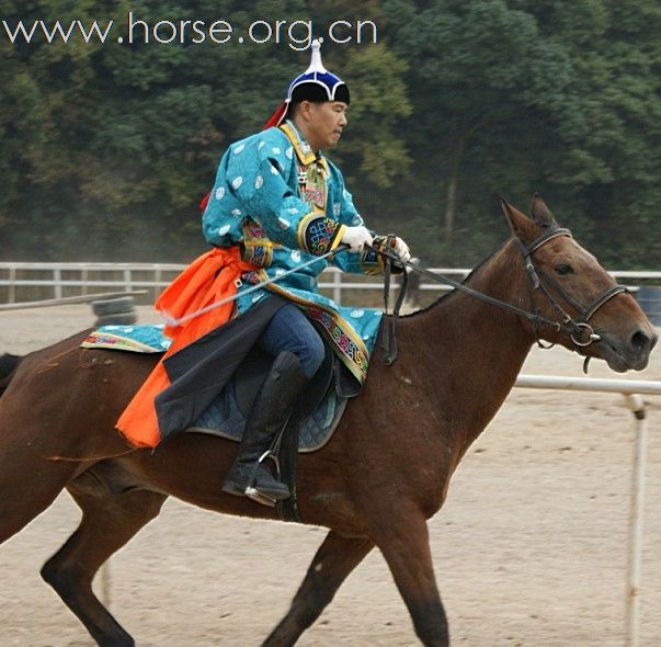 浙江永康黑马骑士庄园俱乐部来了内蒙古人骑马。唱蒙古歌。喝着草原王。