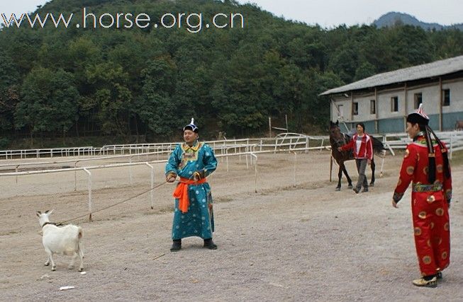 浙江永康黑马骑士庄园俱乐部来了内蒙古人骑马。唱蒙古歌。喝着草原王。