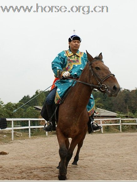 浙江永康黑马骑士庄园俱乐部来了内蒙古人骑马。唱蒙古歌。喝着草原王。