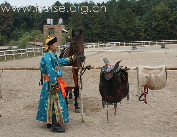 浙江永康黑马骑士庄园俱乐部来了内蒙古人骑马。唱蒙古歌。喝着草原王。