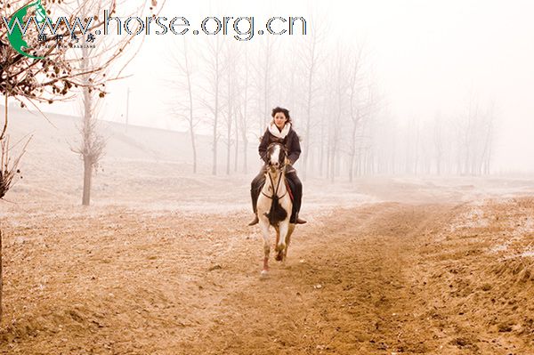 中国北京永定河冬季耐力赛颐和马房骑手风采